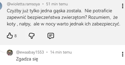 Vendigoo - #raportzpanstwasrodka Spod Gapy.. Żeby do 6 grudnia, zostało chociaż jedno...