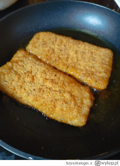 Szyszkalogin - #przegryw Tuszy się #glodnyjakpies