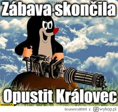 brunetroll089 - #mecz