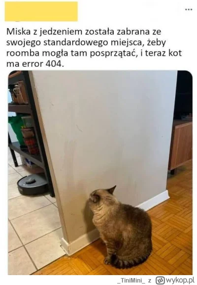 TiniMini - #heheszki #humorobrazkowy #koty