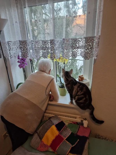 Lujdziarski - #pokazkota #dziarskikacperek Ty babcia mam plan, jaki? Sprytny