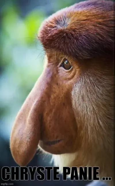 Artur5588 - @krystian-stepaniak: