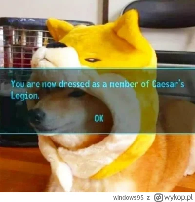 windows95 - #heheszki #fallout