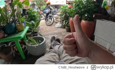 Chilli_Heatwave - #raportzpanstwasrodka #popaswpieprz 

1388 part 1
- pokazał że była...