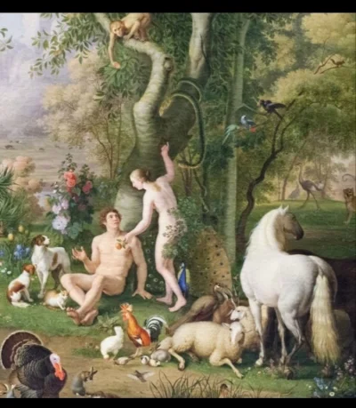 Naza_Dzikowski - @tomwick55 siedzi na drzewie koło węża ( ͡° ͜ʖ ͡°)