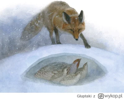 Gluptaki - @Borealny: piekny styl :)