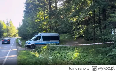 tomosano - Chłop zrobił dobrze policji i strzelił sobie w łeb przy samej drodze. A gd...