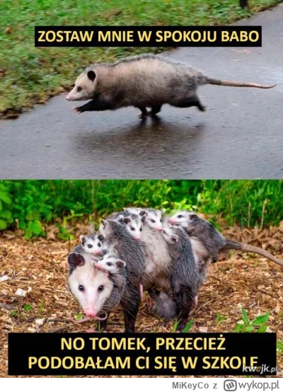 MiKeyCo - >chciałbyś żeby za ciebie ktoś decydował w każdej sprawie?

@KosmicznyGrzyb...