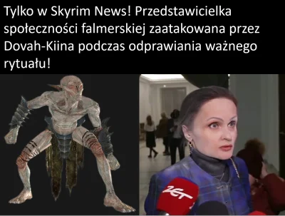 pan_dudzian - #heheszki #humorobrazkowy #sejm #braun #skyrim