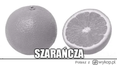 Polasz - Gray fruit
#heheszki