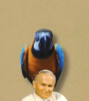 HorrorystycznyDemonPagona - JAN PAVEL DRUGI KOCHAŁ PAPUGI

#papuszkaboners #cenzopapa