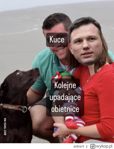 advert - You need to start asking questions, kuce. Nic wam nie kiełkuje w tych łepety...