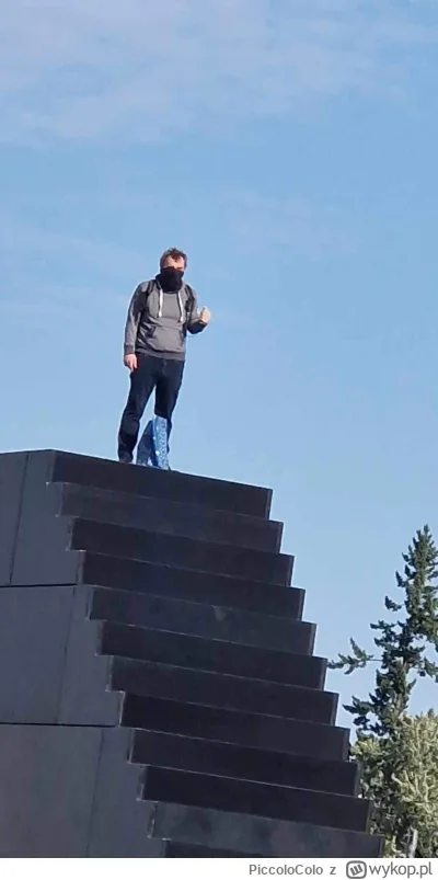 PiccoloColo - Jeśli faktycznie jest to akcja inspirowana przez jaśnie nam panujący mi...