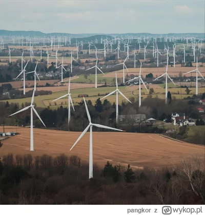 pangkor - #ekologia #energetyka #heheszki