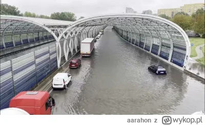 a.....n - @robertx: to śmieszne że wyborcom PO zarzuca się pamięć złotej rybki xD