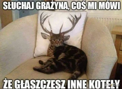 o__0 - #heheszki #humorobrazkowy #smiesznypiesek #koteczkizprzypadku #grazynacore