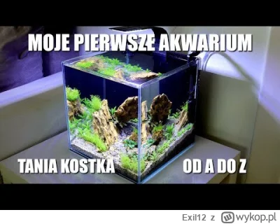 Exil12 - Obczaj filmik Zenon: https://youtu.be/gewskgKqsBM?si=AGb4MxipYII2M48Z
Sam w...