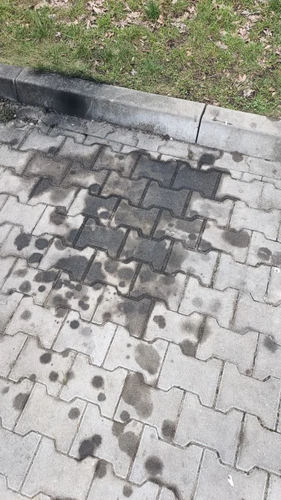 vieniasn - ale chłopu 20 letnia klasa premium teren znaczy psia kość