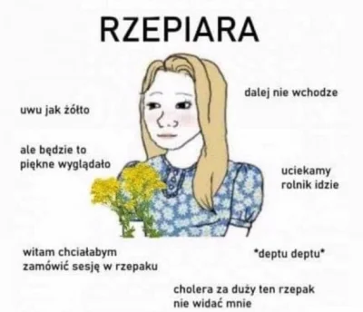 Ksemidesdelos - >słynne zdjęcie w rzepaku?

@Incel_Core2Duo: to jest taki quasi rzepa...