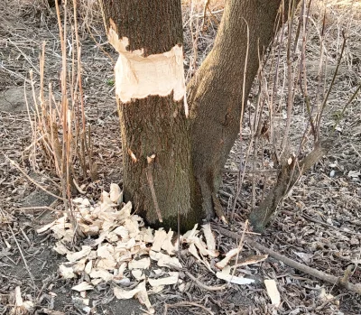 KladzSie - #spierdotrip