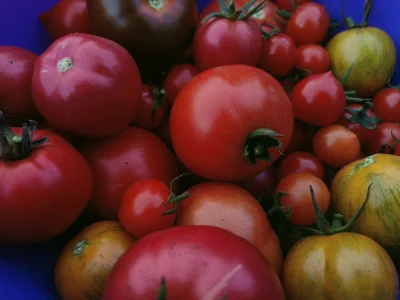 Marple - Ale sobie podjem. Dam jogurtu greckiego, soli, pieprzu i szczypiorku. 
#jedz...