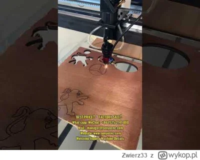 Zwierz33 - Albo takie coś XD 

#przegryw