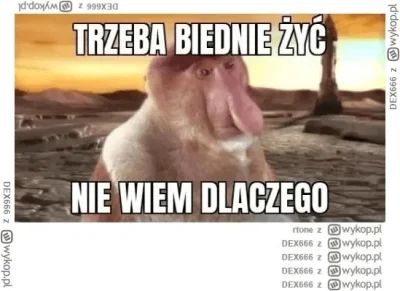 janielubie - @rtone: tymczasem inteligenty humor, krzywe zwierciadło, subtelna satyra