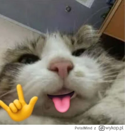 PetalMind - Już nie mogę się doczekać fajnodziałku jooooł pozdrowionkaaaa