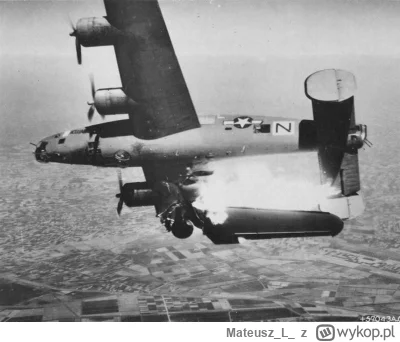 MateuszL - B-24L Liberator z 779 Dywizjonu Bombowego 464 Grupy Bombowej, zestrzelony ...