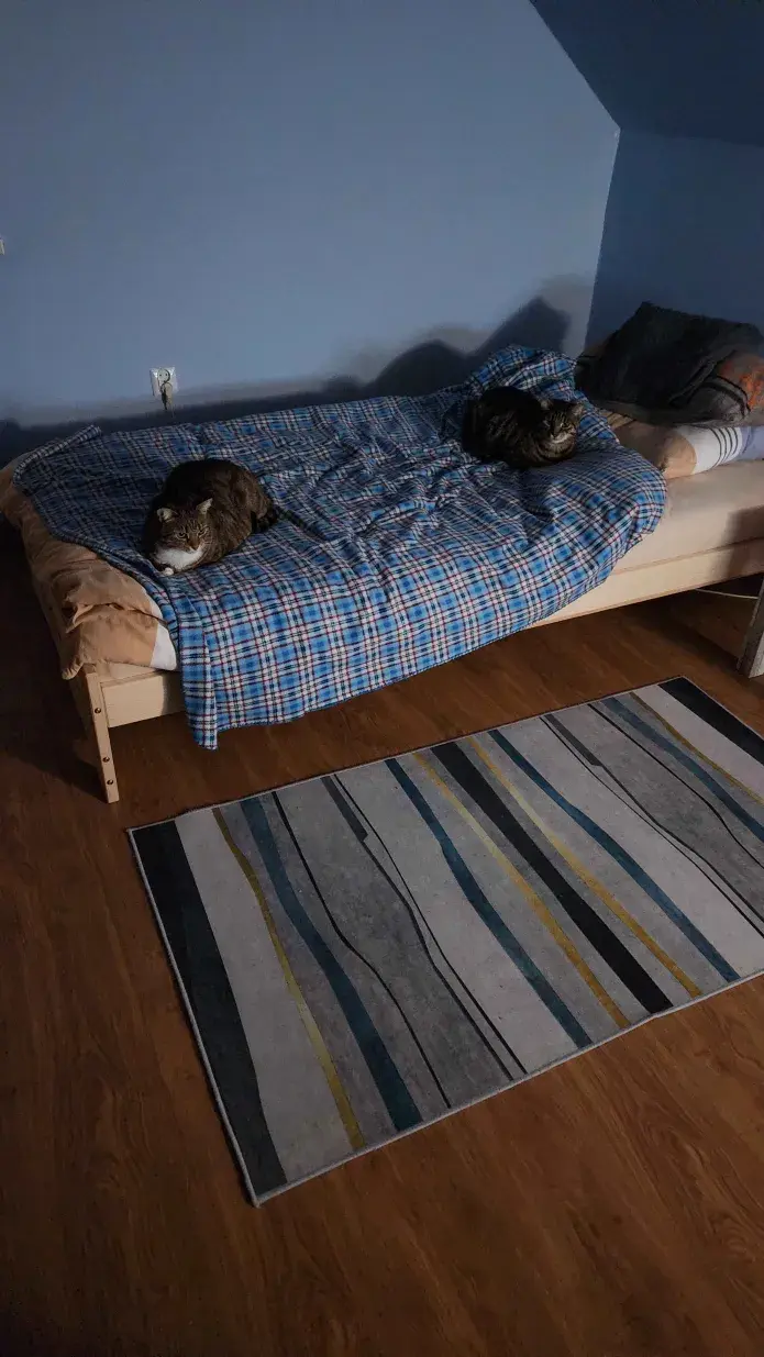 Wanzey - Kici znowu spało u huopa (｡◕‿‿◕｡)

#przegryw