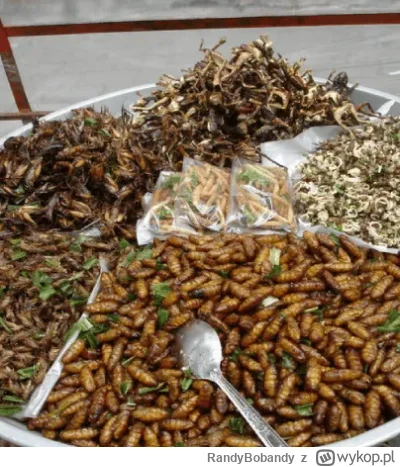 RandyBobandy - Wygraliśmy! Wyborcy sutenera proszę się poczęstować na osłodę wieczoru...