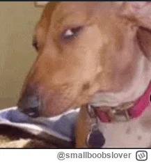 smallboobslover - >nawet na wykopie nie raz widziałam mężczyzn broniących albo tłumac...