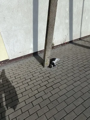 GARN - #przypadkowekitku #kitku