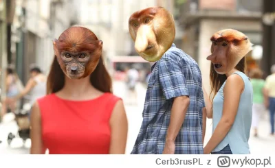 Cerb3rusPL - #konkursnanajbardziejgownianymemznosaczem