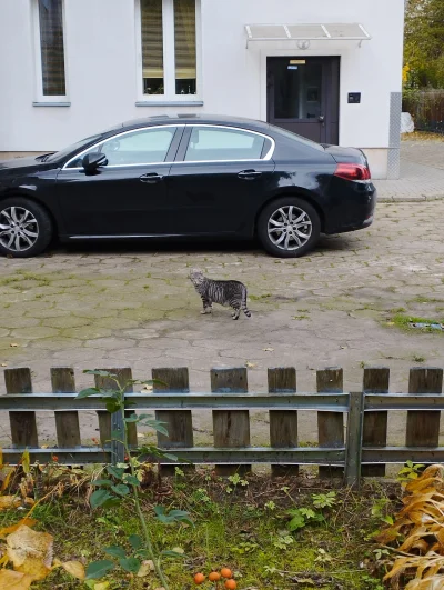 Wewnetrzny_Recenzent