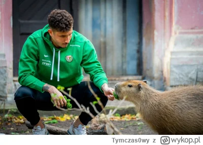 Tymczas0wy - Tymczasem Eryk Ekspozycja w swoim naturalnym środowisku.

#mecz #ekstrak...