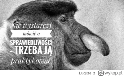 Luqiize - #konkursnanajbardziejgownianymemznosaczem