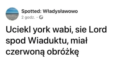 Mega_Smieszek - Brzmi jak jakiś boss z Dark Souls xD