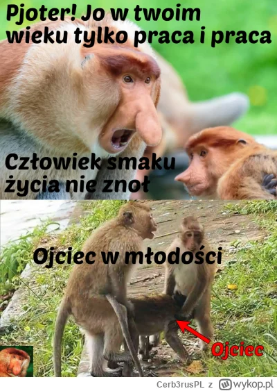 Cerb3rusPL - #konkursnanajbardziejgownianymemznosaczem 

Syniek!!!