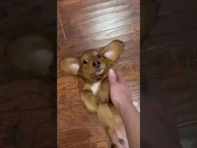 sdghsd-dfhdfh - Ale słodziak (｡◕‿‿◕｡)