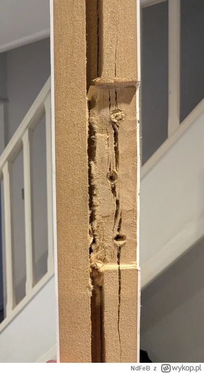 N.....B - Jak to naprawić żeby nie musieć kupować nowych drzwi? #pytaniedoeksperta #s...