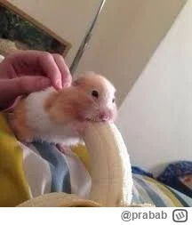 prabab - @Kosmiczny-Duch: