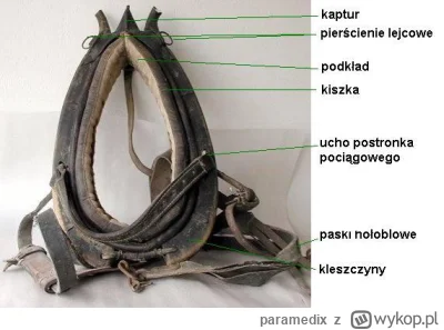 paramedix - >Masz, nieuku – doucz się!

@paliwoda: #pdk