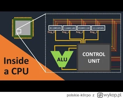 polskie-k0rpo - @groman43: