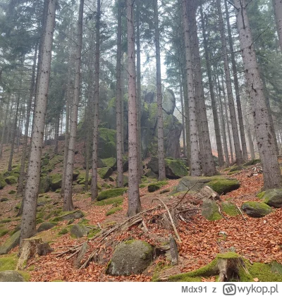 Mdx91 - Fajna skalka
#mdxzkapcia #podrozujzwykopem #mdxnaszlaku