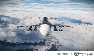 kasmiros - Nochal 
#dcs #symulatory #lotnictwo #gry #hobby