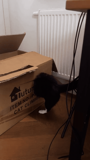 jestemtakizmeczony - @jestemtakizmeczony: