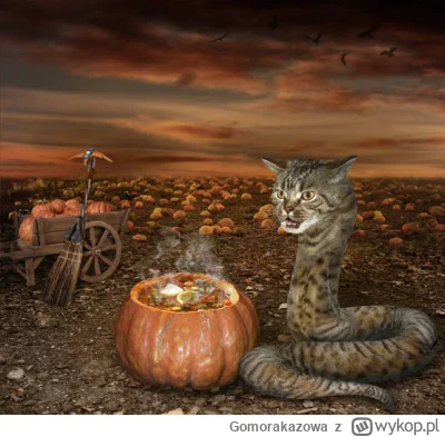 Gomorakazowa - tak się czuję teraz

#mood #pogoda #jesien