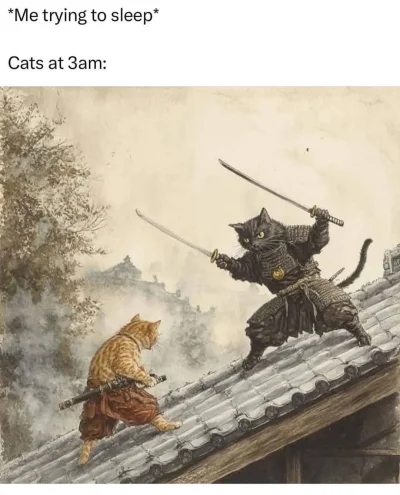 jabol6000 - #heheszki