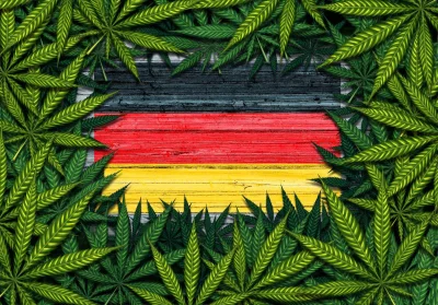 smooker - #marihuana #niemcy #ue #europa #legalizacjs  
Zgodnie z prawem, które wejdz...